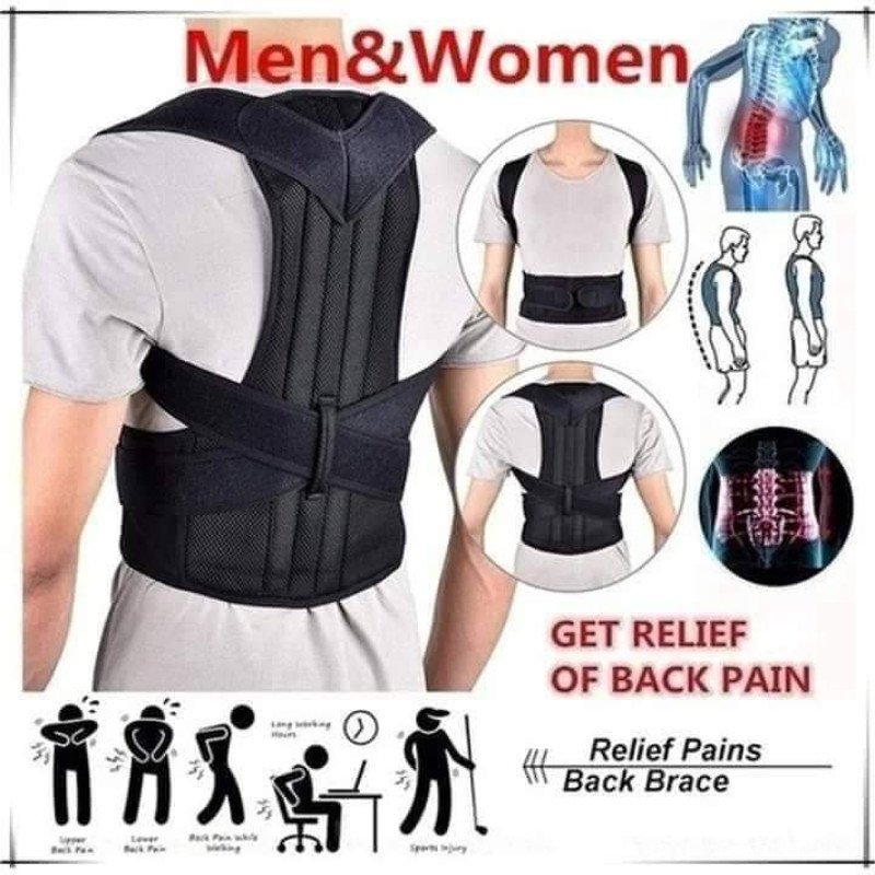 Back Posture Support Belt Free Size